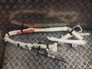 Dach SRS rechts NISSAN PATHFINDER III (R51) 2.5 dCi 4WD