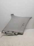 Dach VW GOLF IV Van (1J1) 1.9 TDI