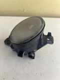 Nebelscheinwerfer links RENAULT ESPACE IV (JK0/1_) 2.2 dCi (JK0H) 89210438
