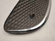 Blende Nebelscheinwerfer Mercedes-Benz E-Klasse (W213) A2138851122