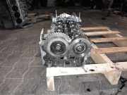 Zylinderkopf Opel Antara (L07) 25183241