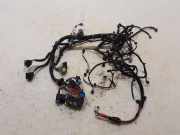 Kabel Motor Renault Trafic III Kasten () 240118705R