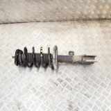 Stoßdämpfer vorne links