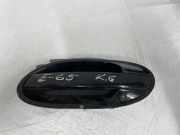 Türaußengriff hinten links BMW 7 (E65, E66, E67) 730 d 7198689