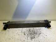 Ladeluftkühler FIAT FIORINO Furgon/Estate (225_) 1.3 D Multijet 0001519