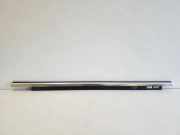 Türfensterleiste hinten links AUDI A5 (F53) S5 quattro 8T8853763