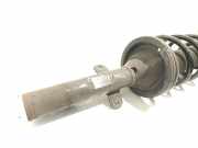 Stoßdämpfersatz Vorderachse Ford Transit Custom V362 Kasten (FY, FZ)