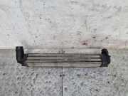 Ladeluftkühler Renault Grand Scenic III (JZ) 144960006R