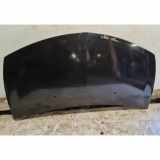 Motorhaube RENAULT CLIO III (BR0/1, CR0/1) 1.2 16V (BR0P, CR0P)