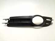 Kühlergrill links Audi A6 (4F, C6)