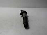 Zündspule BMW 3 (E90) 316 i 0221504100