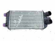 Ladeluftkühler PEUGEOT 208 II (UB_, UP_, UW_, UJ_) 1.2 Hybrid 136 9824742280