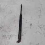 Heckklappe Gasdruckfeder links BMW 5 Touring (E39) 530 d 51246222913