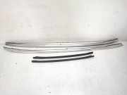 Dachreling links BMW 5 Touring (F11) 535 d xDrive