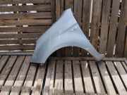 Kotflügel vorne links HYUNDAI i20 (PB, PBT) 1.2