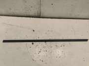 Türverkleidung links hinten VW Passat B6 (3C2) 3C0853753