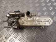 Abgaskühler VW Golf VII Variant (BA, BV) 038131513AD