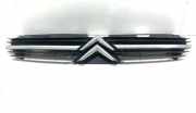 Vorderer oberer Gitter CITROËN C5 I Break (DE_) 3.0 V6 (DEXFXC, DEXFXF) 28857M 9636751980