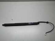 Heckklappe Gasdruckfeder links BMW X5 (F15, F85) xDrive 30 d 7361878