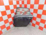 Tür hinten links AUDI A6 (4F2, C6) 3.2 FSI DRZ049