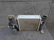 Ladeluftkühler AUDI A4 (8E2, B6) 1.8 T 8E0145805