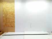 Dachleiste links TOYOTA VERSO (_R2_) 1.6 D4-D (WAR20_)