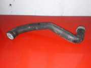 Schlauch Kühlung MERCEDES-BENZ CLK (C209) 270 CDI (209.316)