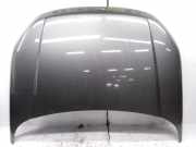 Motorhaube LAND ROVER RANGE ROVER EVOQUE (L538) 2.0 D BJ3216854A