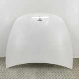 Motorhaube TESLA MODEL 3 EV AWD 1081390-E0-C