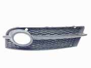 Kühlergrill unten Audi TT (8J) 8J0807681