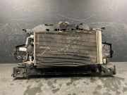 Armaturenbrett RENAULT GRAND SCÉNIC III (JZ0/1_) 1.5 dCi 752100007R