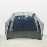 Motorhaube TESLA MODEL X P100D AWD 1069531-E0-C