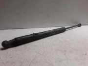 Heckklappe Gasdruckfeder rechts FIAT PUNTO (188_) 1.2 60 (188.030, .050, .130, .150, .230, .250) 0924WG0350N