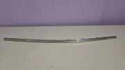 Front Bumper Center Moulding FORD TRANSIT 2.2 TDCi GK316C436AB