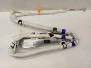 Airbag Dach rechts VW Tiguan I (5N) 5N0880742G