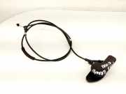 Motorhaubenöffnungsgriff FORD GRAND C-MAX (DXA/CB7, DXA/CEU) 1.6 TDCi AM5116C657