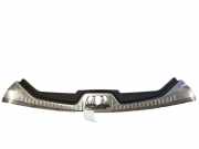 Kofferaum Schlossverkleidung