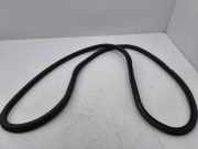 Türdichtung vorne rechts AUDI A3 Sportback (8YA) 30 TFSI