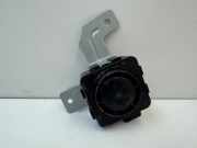 Handsensor für Alarmanlage Hyundai Ioniq (AE) 95870GI000