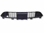 Gitter vorne unten BMW X5 (F15, F85) xDrive 30 d 51118056852