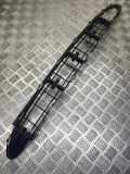 Gitter vorne unten MERCEDES-BENZ A (W168) A 170 CDI (168.009, 168.109) 11279981 100100026