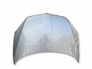 Motorhaube SKODA ROOMSTER (5J) 1.4 TDI 5J0823155