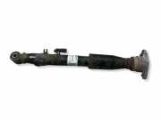 Stoßdämpfer hinten links AUDI A6 Avant (4F5, C6) 3.0 TDI quattro E3505101