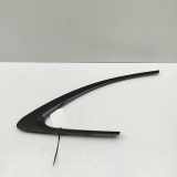 Right Side Body Moulding