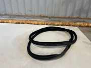 Türdichtung Mercedes-Benz S-Klasse (W222) A2226970151