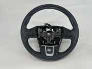 Lenkrad RENAULT LAGUNA Coupe (DT0/1) 2.0 dCi (DT01, DT09, DT12, DT1D) 484300001R