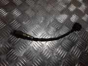 Lambdasonde Opel Corsa C (X01) 0258006386