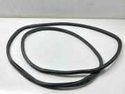 Türdichtung VW Transporter T6 Kasten () 7E0843791D