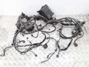 Motor Kabelbaum HYUNDAI i40 (VF) 1.7 CRDi 13703087 912033Z080