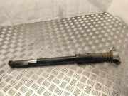 Stoßdämpfer hinten links MAZDA 5 (CR19) 2.0 CD 313419